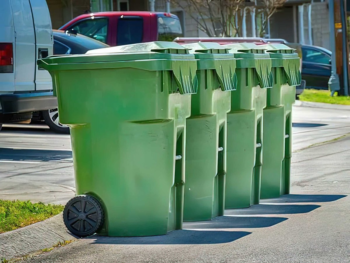 Row of green wheeled garbage bins lined up on a residential street with parked cars in the background